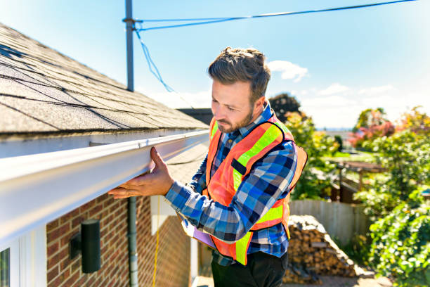Best Roof Moss and Algae Removal  in Berlin, NH